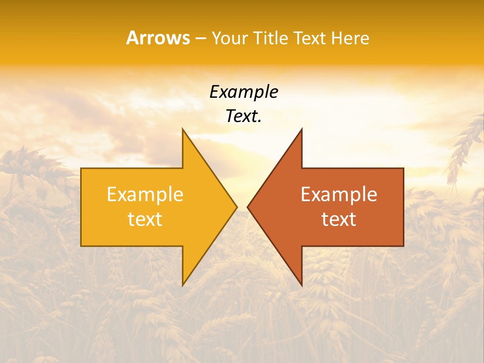 Field Light Bright PowerPoint Template