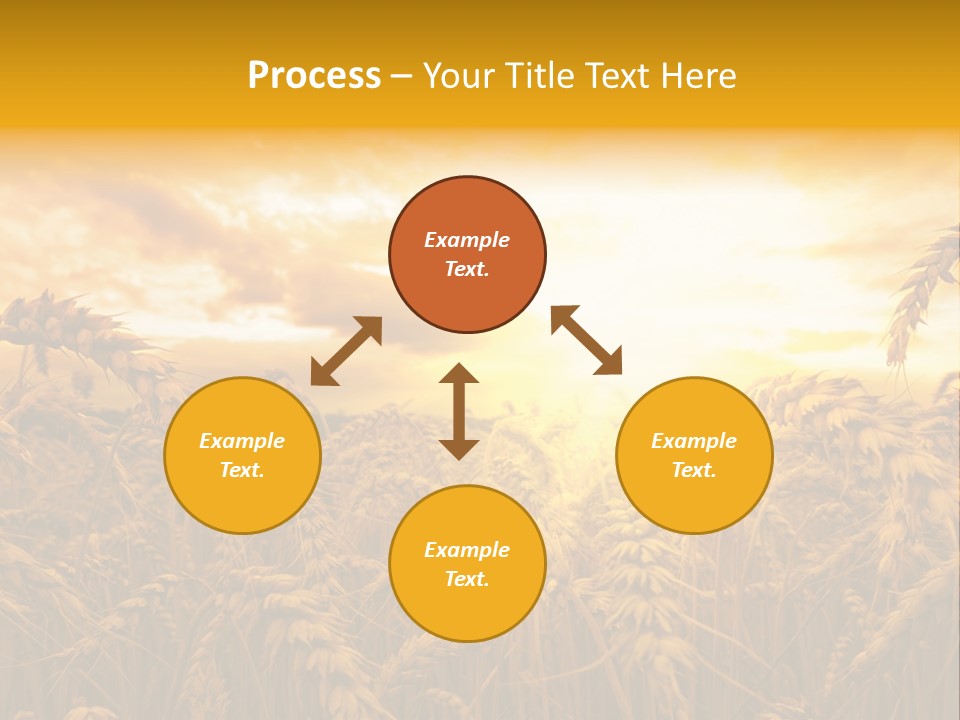 Field Light Bright PowerPoint Template