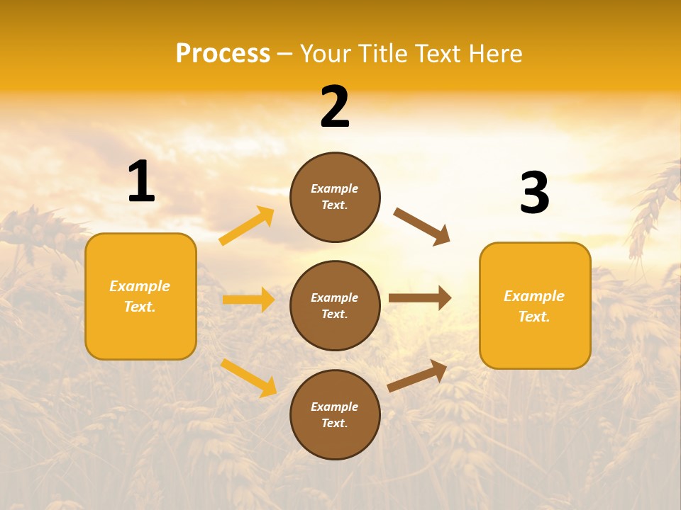 Field Light Bright PowerPoint Template