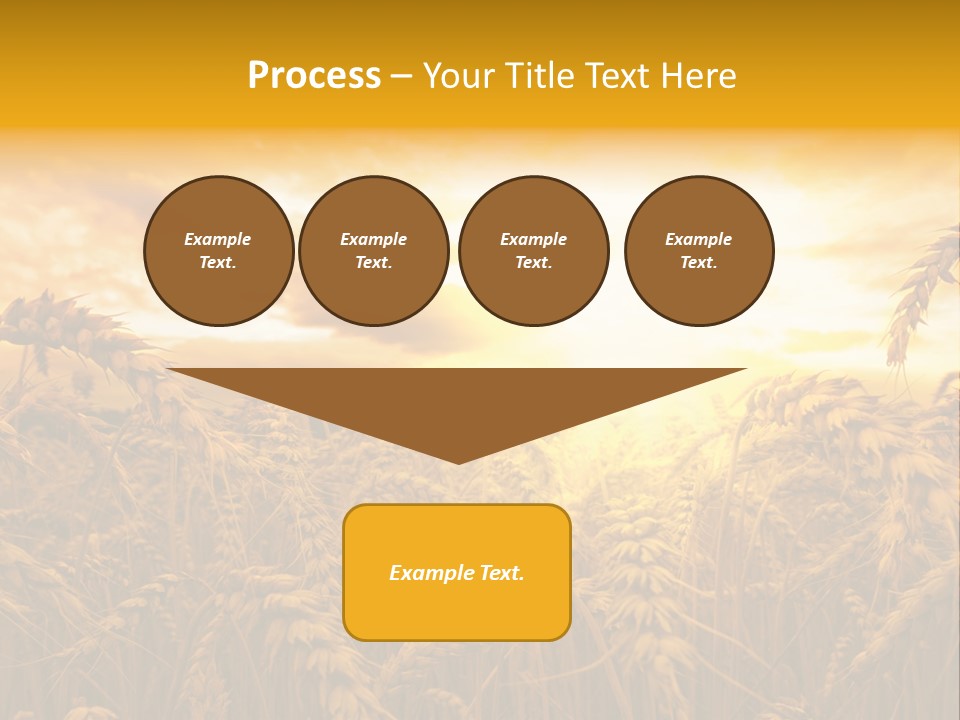 Field Light Bright PowerPoint Template