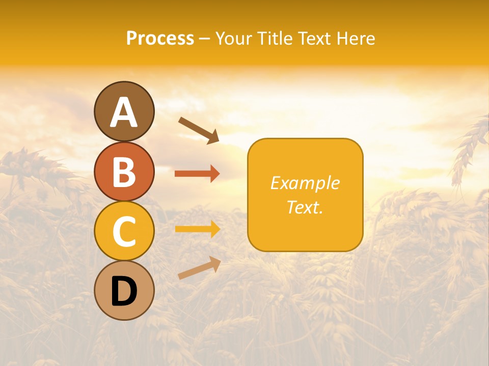 Field Light Bright PowerPoint Template