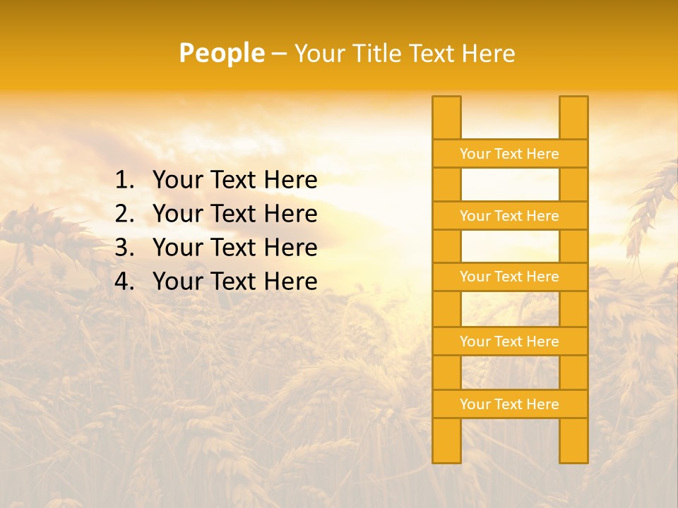 Field Light Bright PowerPoint Template