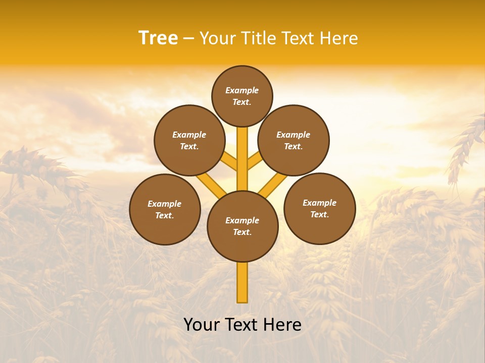 Field Light Bright PowerPoint Template