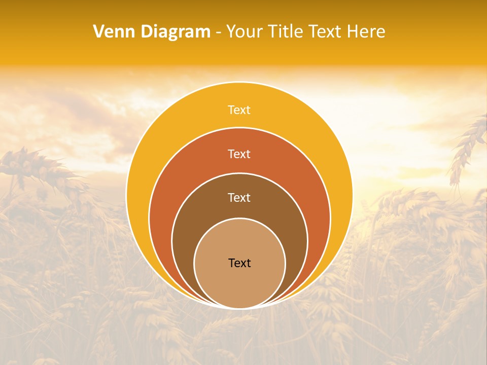 Field Light Bright PowerPoint Template