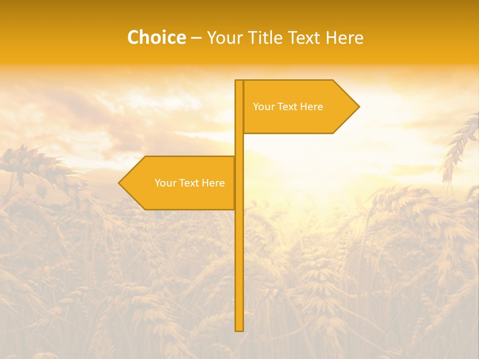 Field Light Bright PowerPoint Template