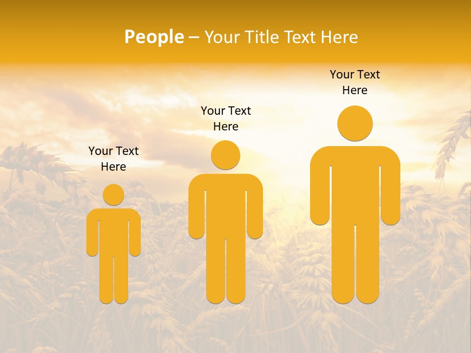 Field Light Bright PowerPoint Template