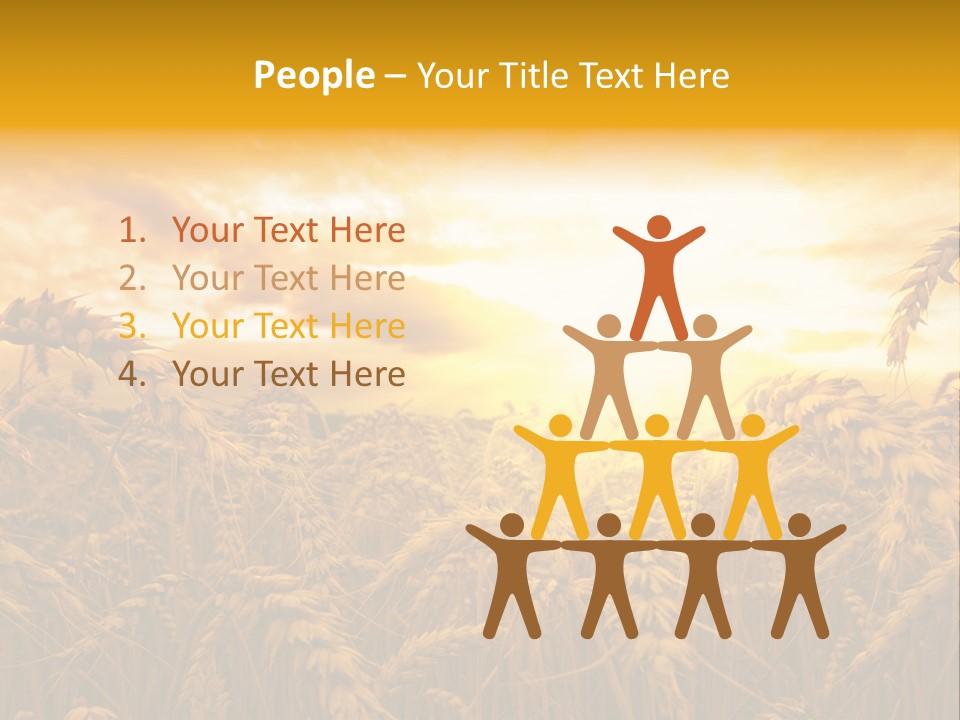 Field Light Bright PowerPoint Template