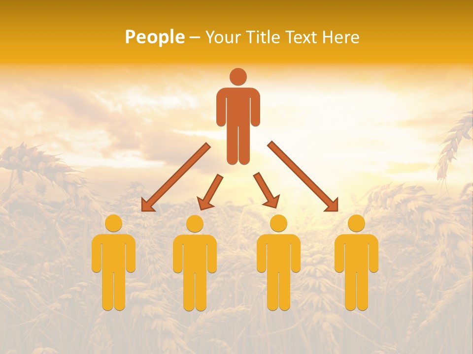 Field Light Bright PowerPoint Template