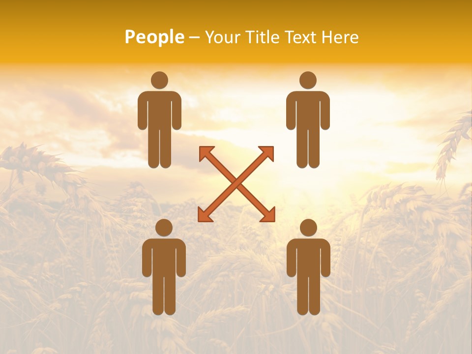 Field Light Bright PowerPoint Template