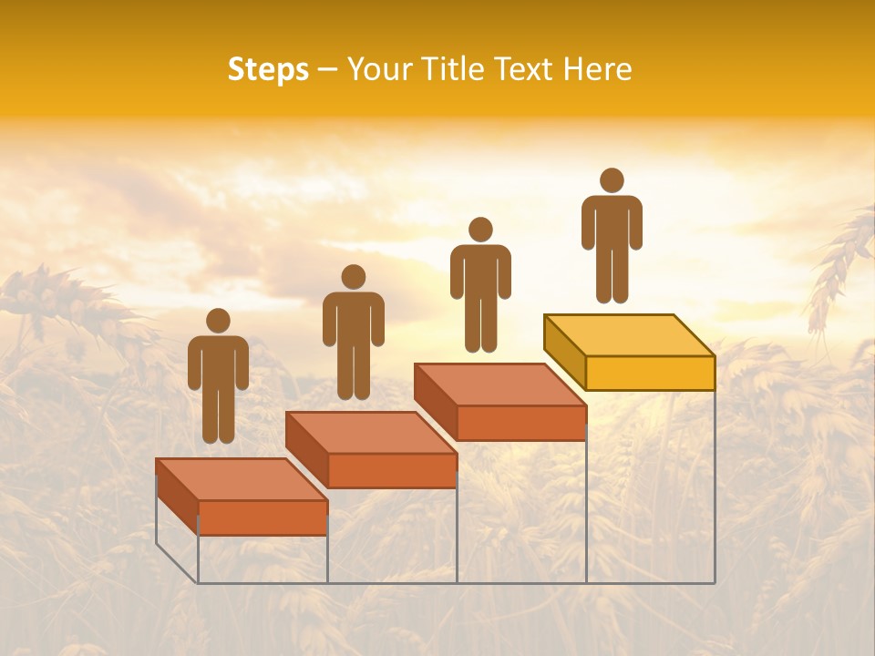 Field Light Bright PowerPoint Template
