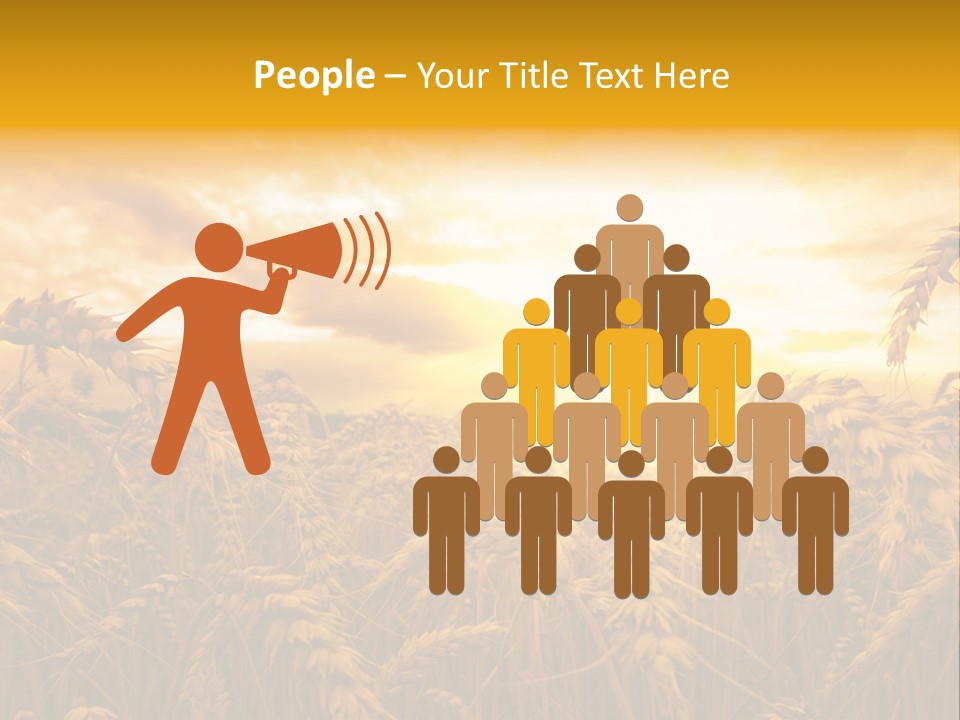 Field Light Bright PowerPoint Template