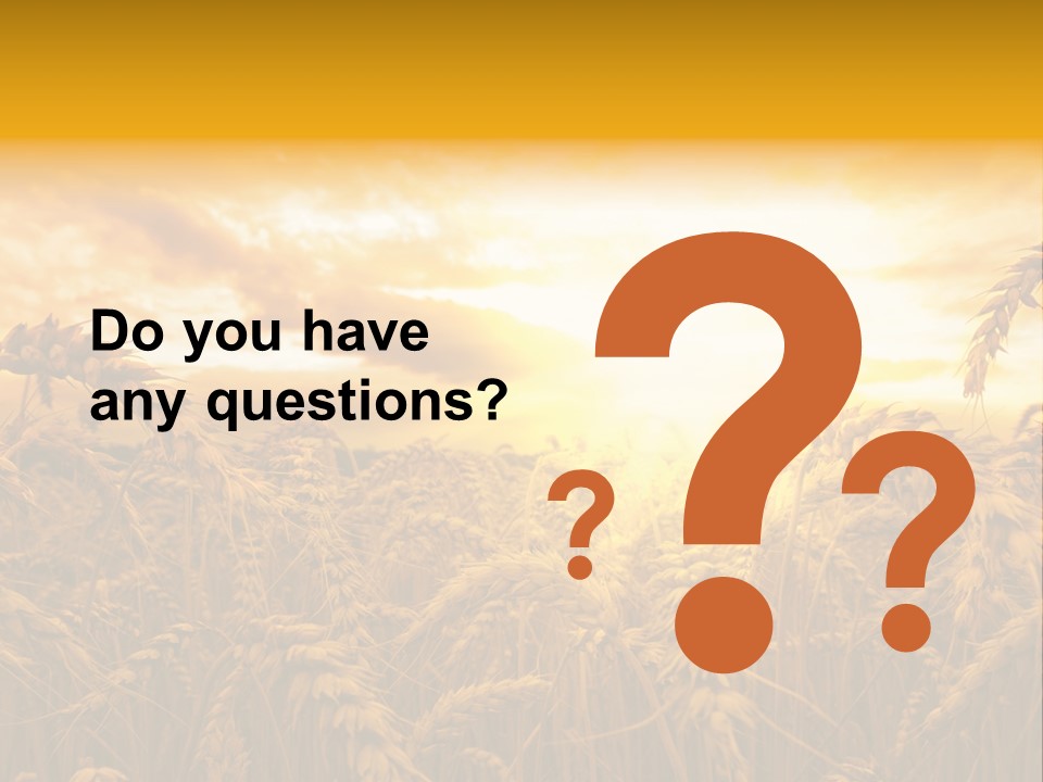 Field Light Bright PowerPoint Template