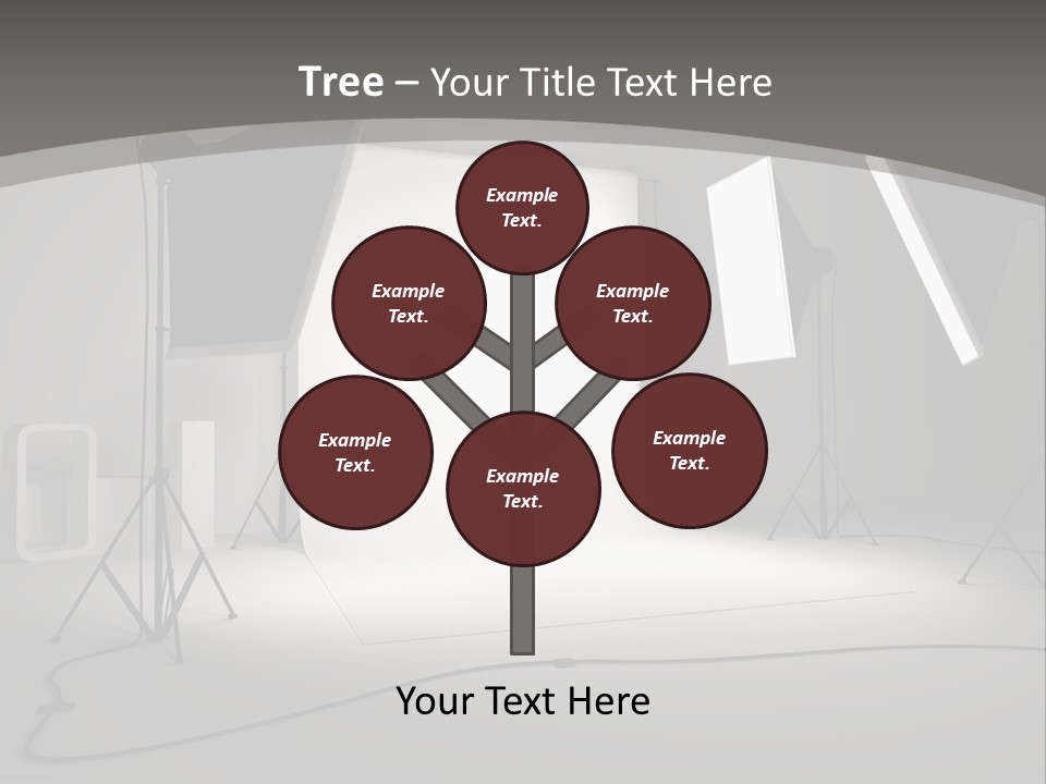 Light Photographer Background PowerPoint Template