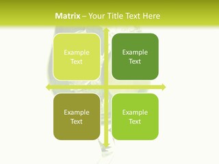 Liqueur Liquor Glacue PowerPoint Template