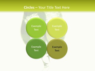 Liqueur Liquor Glacue PowerPoint Template