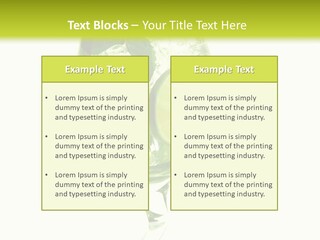 Liqueur Liquor Glacue PowerPoint Template