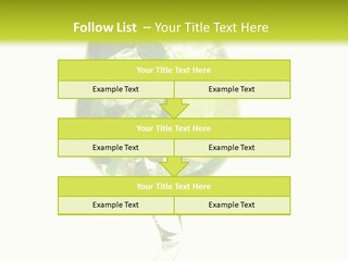 Liqueur Liquor Glacue PowerPoint Template