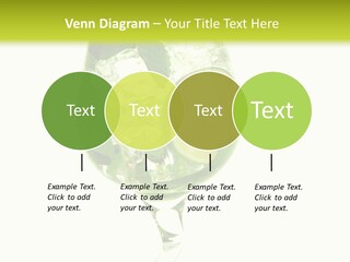 Liqueur Liquor Glacue PowerPoint Template