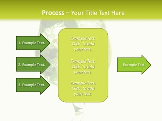 Liqueur Liquor Glacue PowerPoint Template