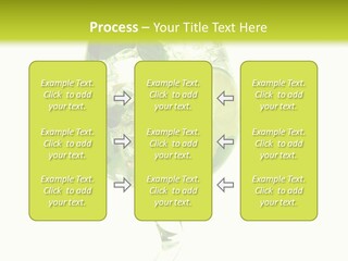 Liqueur Liquor Glacue PowerPoint Template