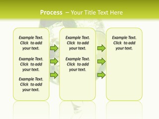 Liqueur Liquor Glacue PowerPoint Template
