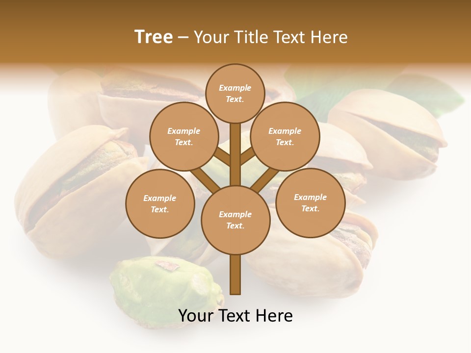 Meal Vegetarian Seed PowerPoint Template