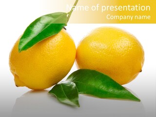 Leaf Yellow Healthy PowerPoint Template