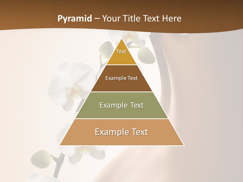 Care Biology Spa PowerPoint Template