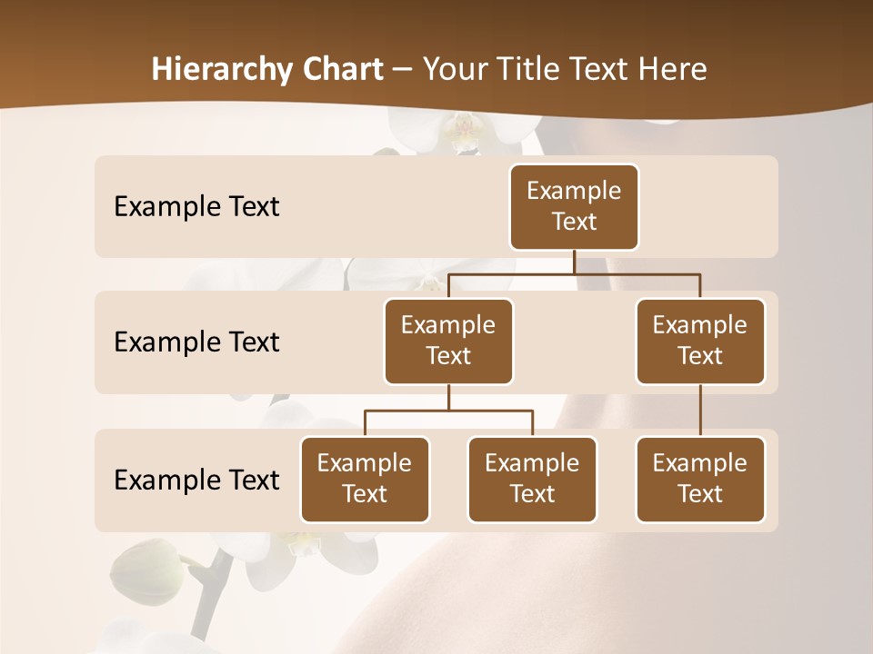 Care Biology Spa PowerPoint Template