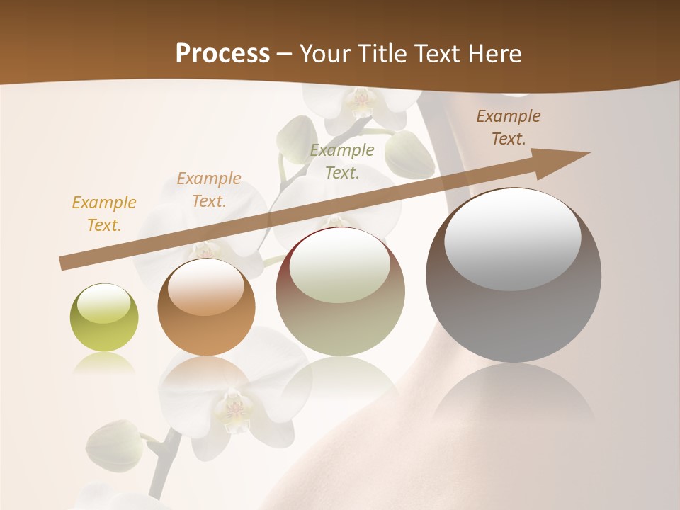 Care Biology Spa PowerPoint Template