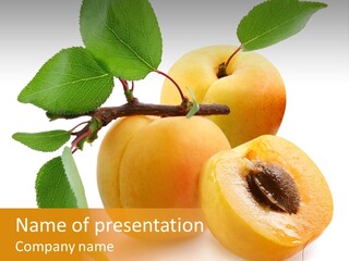 Group White Apricot PowerPoint Template