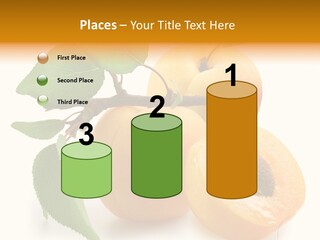Group White Apricot PowerPoint Template