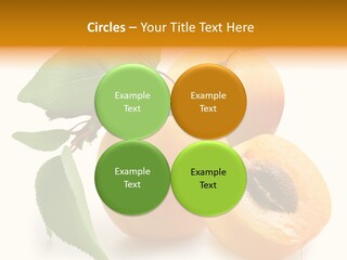 Group White Apricot PowerPoint Template