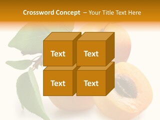 Group White Apricot PowerPoint Template