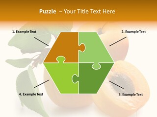 Group White Apricot PowerPoint Template