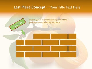 Group White Apricot PowerPoint Template