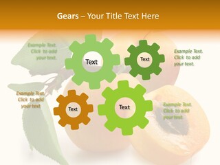 Group White Apricot PowerPoint Template