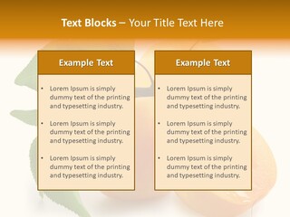 Group White Apricot PowerPoint Template