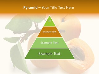 Group White Apricot PowerPoint Template