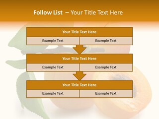 Group White Apricot PowerPoint Template
