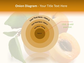 Group White Apricot PowerPoint Template