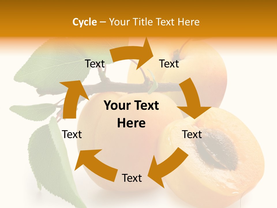 Group White Apricot PowerPoint Template