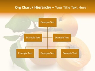 Group White Apricot PowerPoint Template