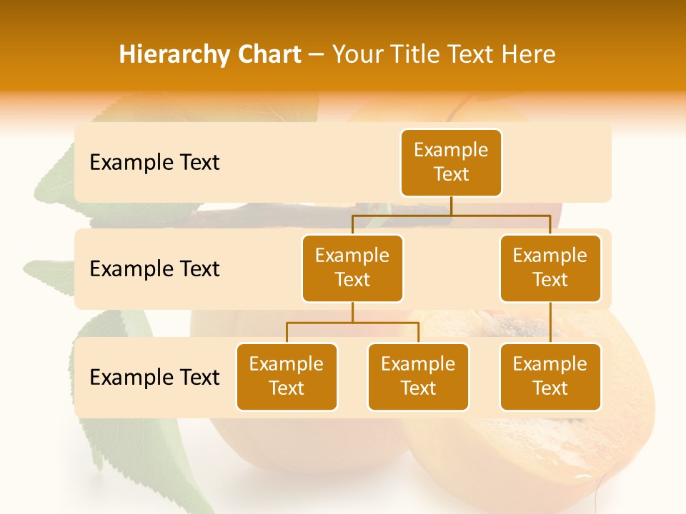 Group White Apricot PowerPoint Template