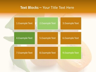 Group White Apricot PowerPoint Template