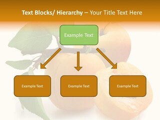 Group White Apricot PowerPoint Template