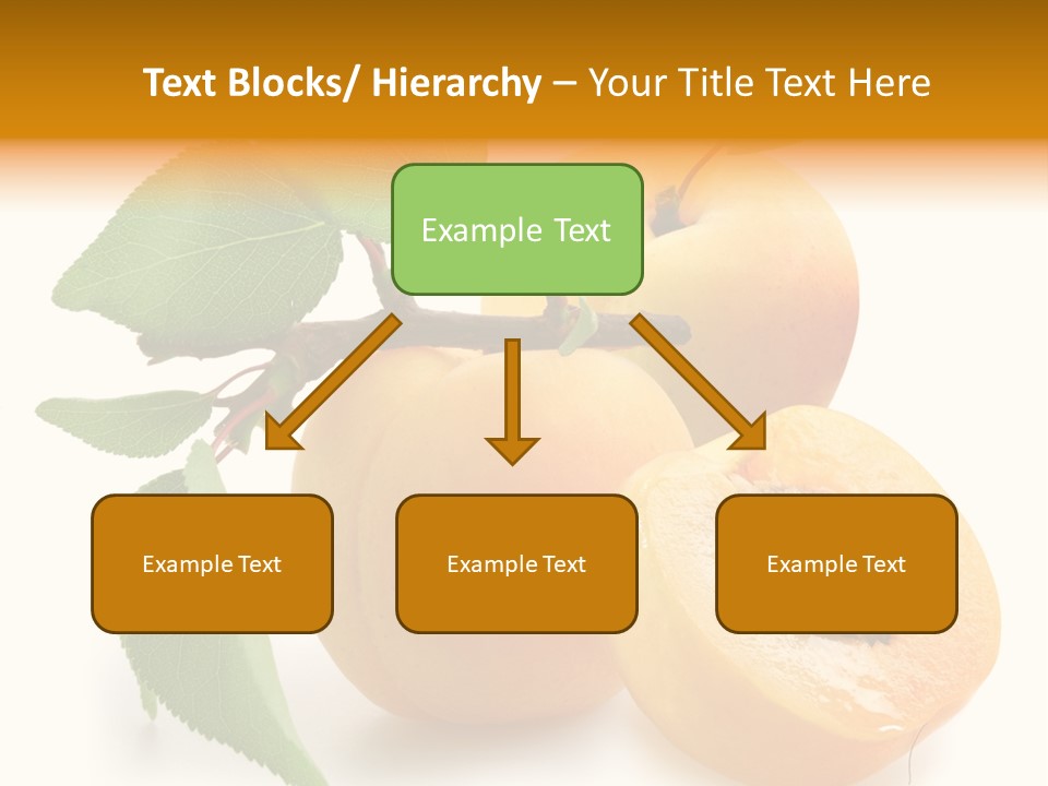 Group White Apricot PowerPoint Template