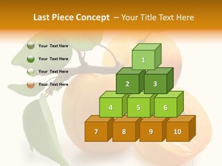 Group White Apricot PowerPoint Template