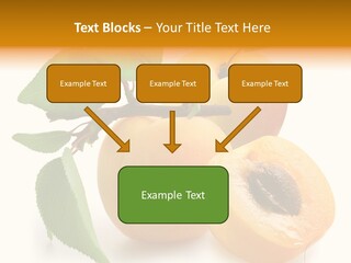 Group White Apricot PowerPoint Template