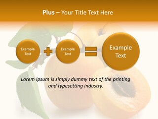 Group White Apricot PowerPoint Template